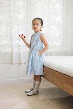Capri Petite Dress Gingham Blue