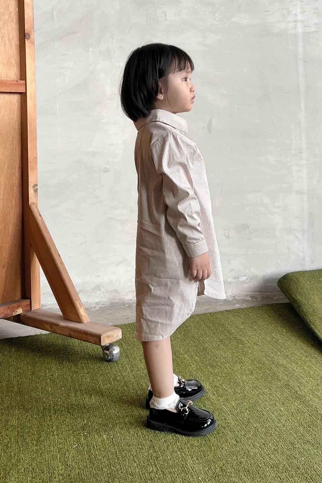 Alpen Petite Shirt Dress - EESOME