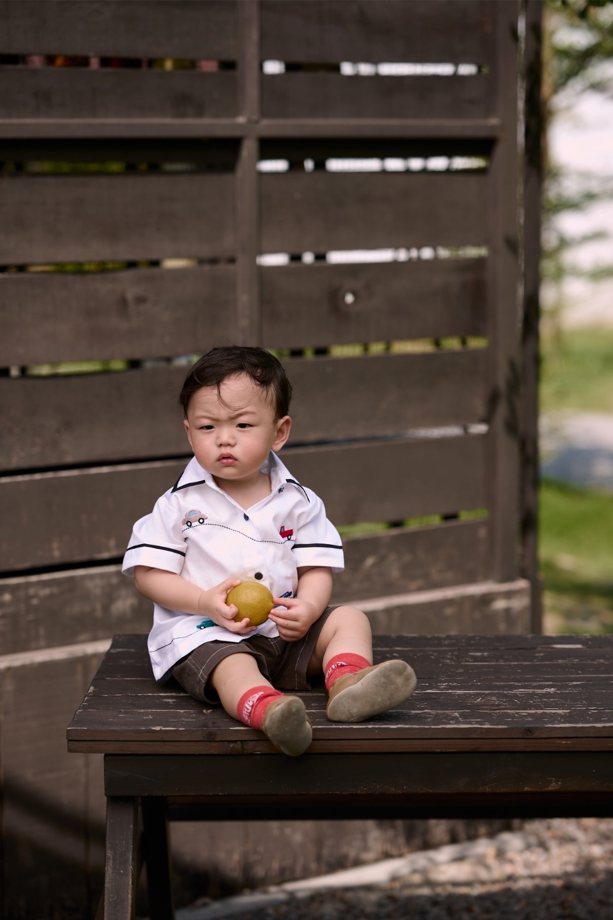 Flynn Petite Jorts Dark Choco