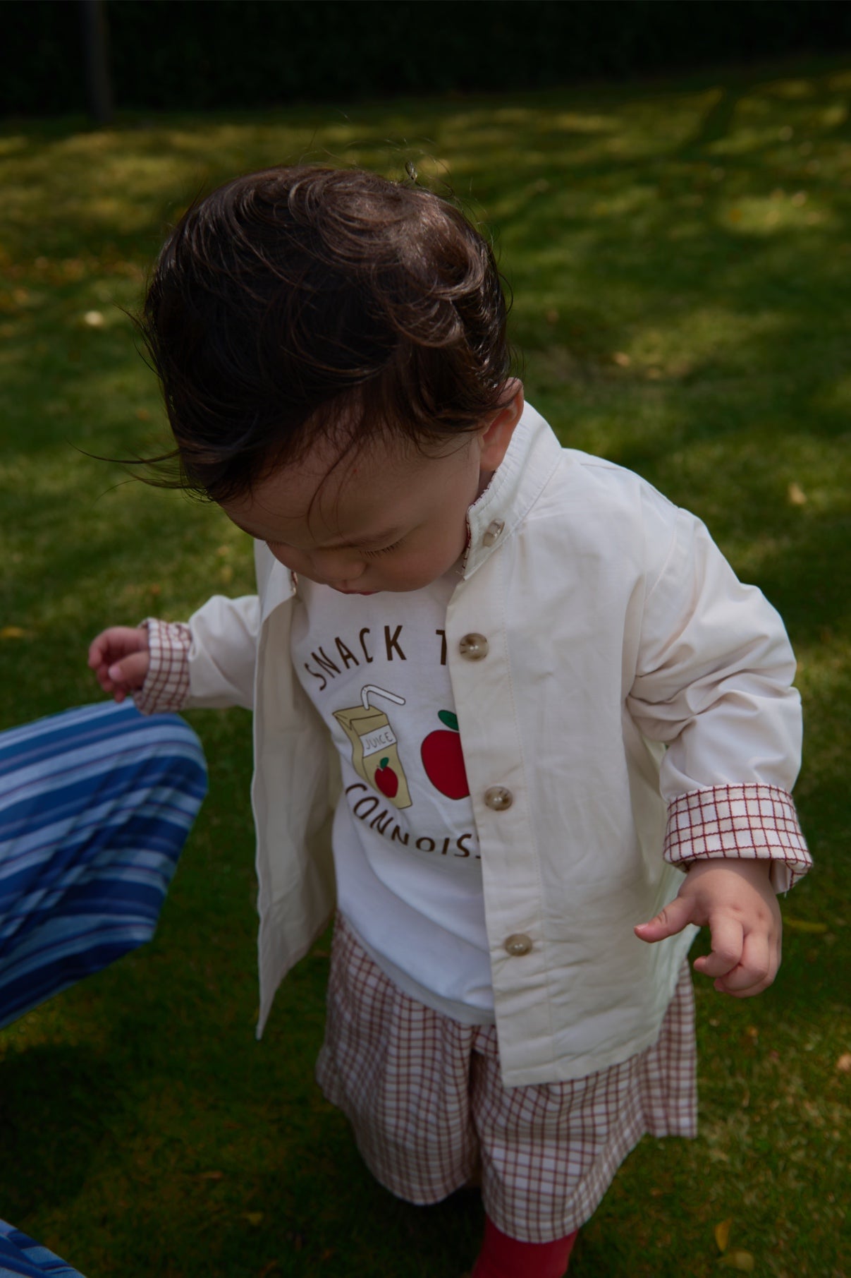Picnic Petite Summer Trench Khaki Plaid