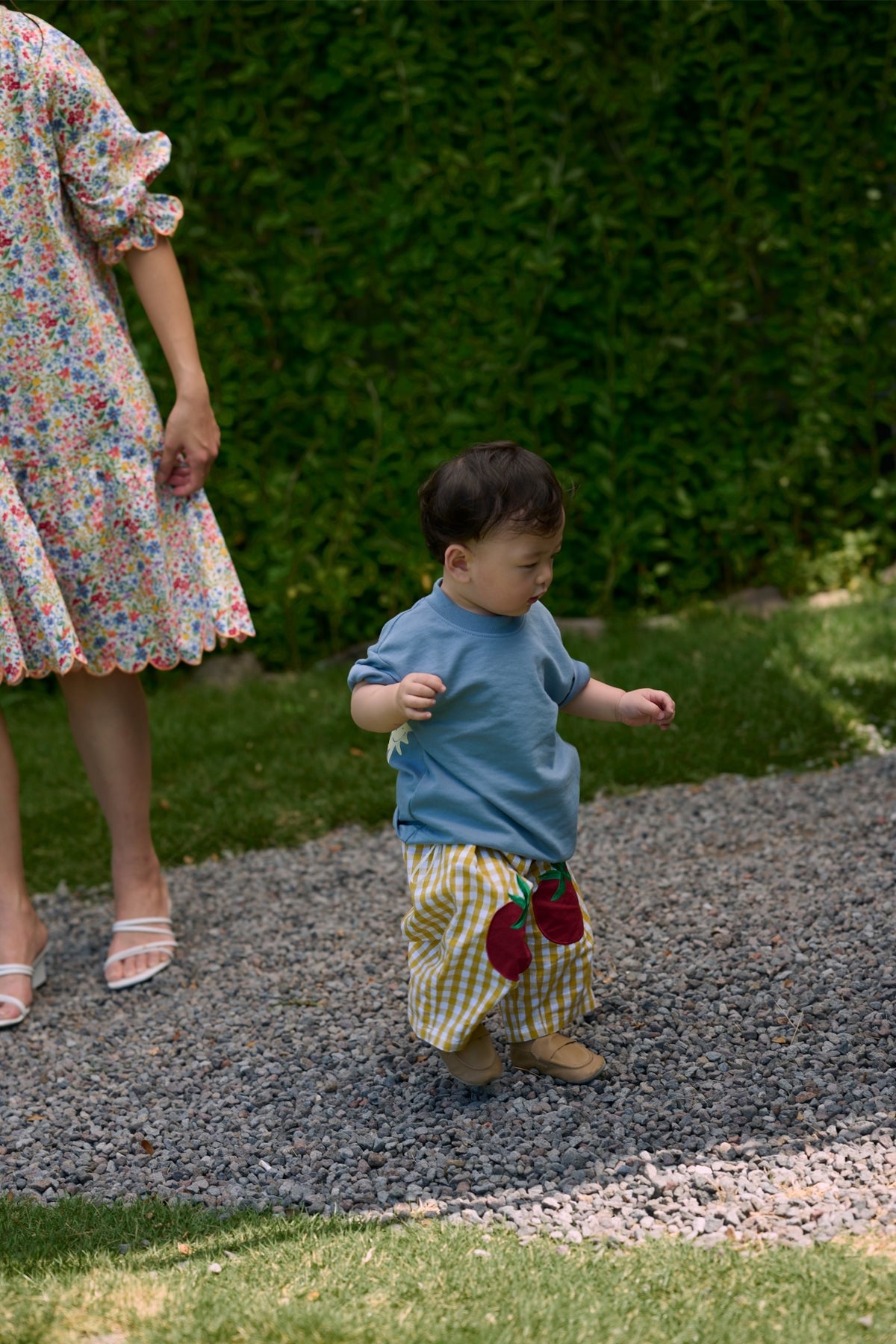 Tomato Petite Pants Gingham Pear