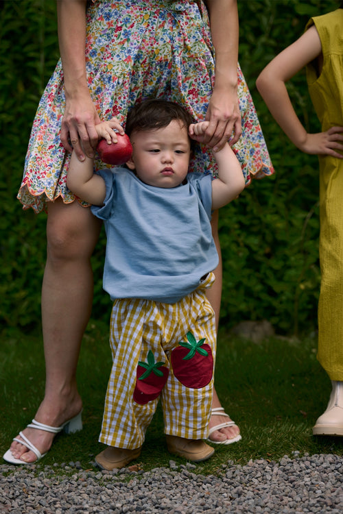 Tomato Petite Pants Gingham Pear
