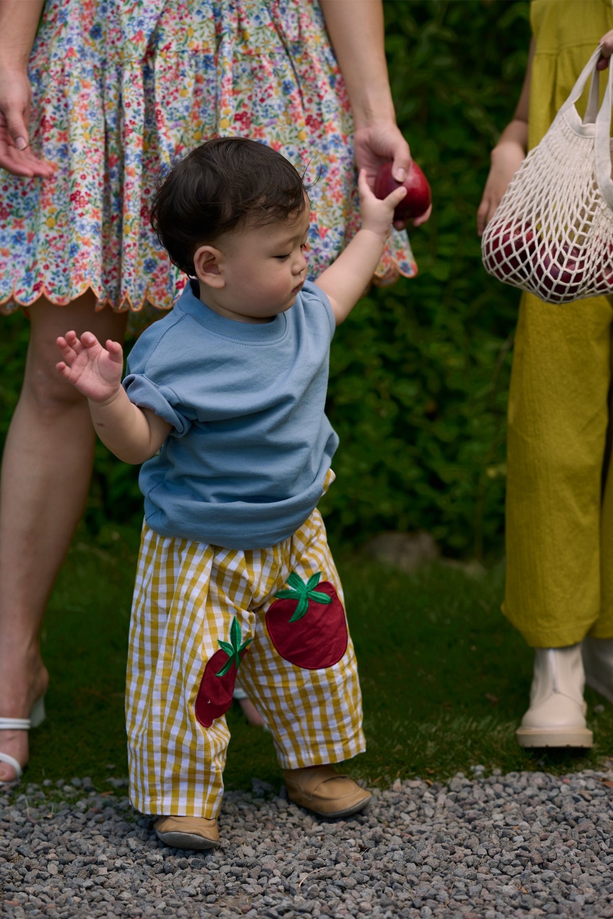 Tomato Petite Pants Gingham Pear