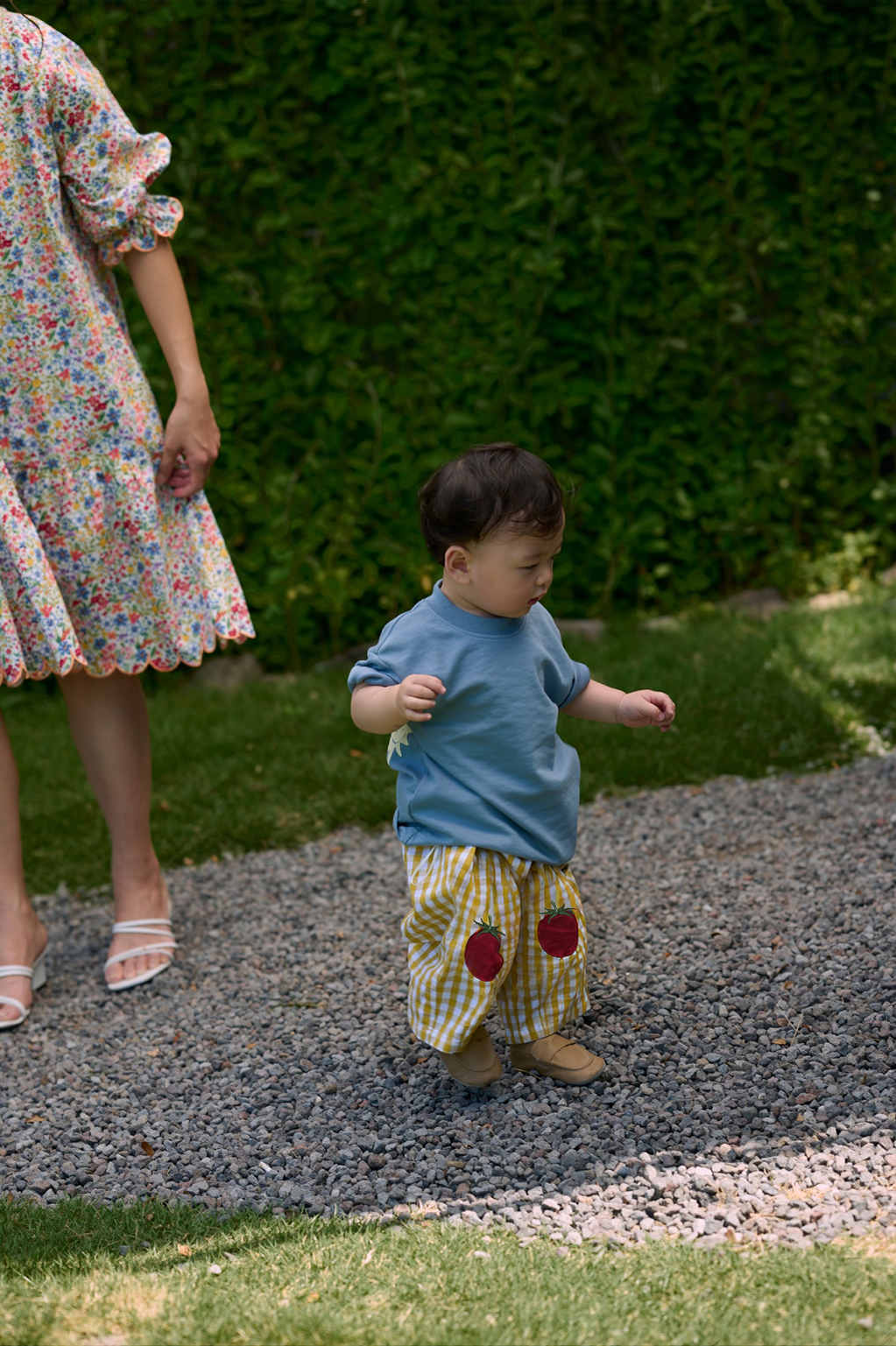 Tomato Petite Pants Gingham Pear