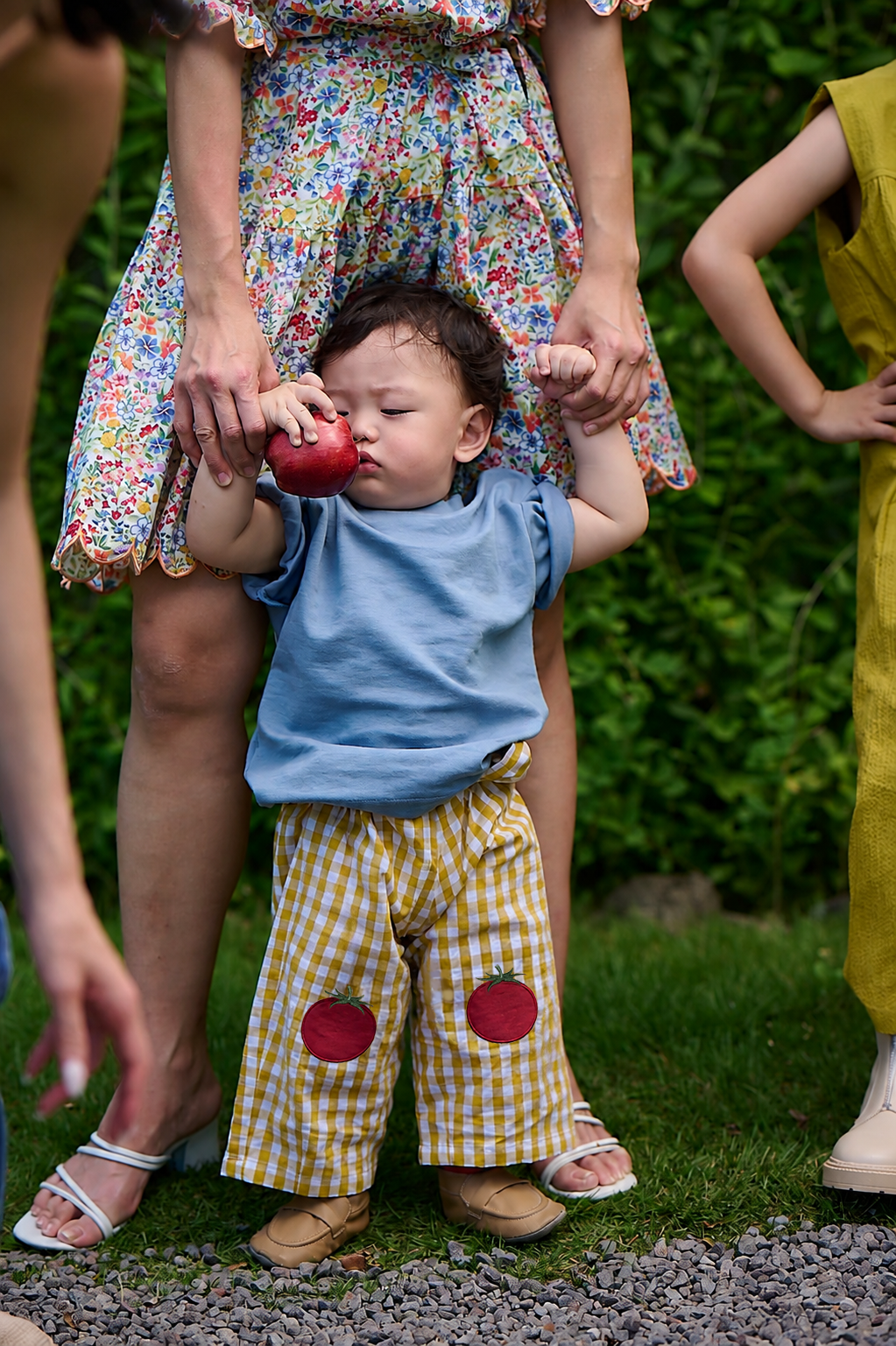 Tomato Petite Pants Gingham Pear