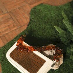 Clara Handbag Brown EESOME